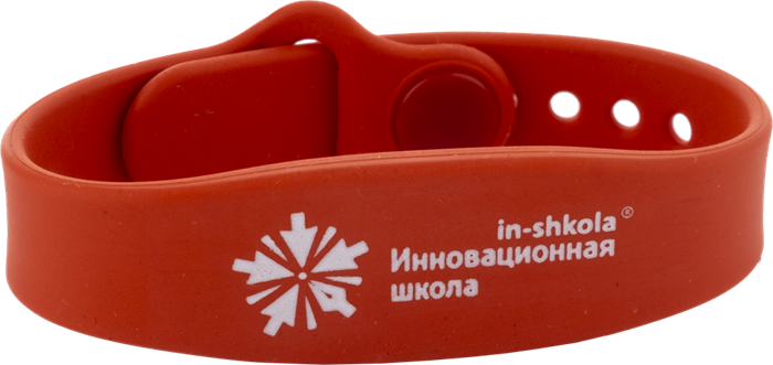 Браслет силиконовый "Инновационная школа", цвет красный 48169